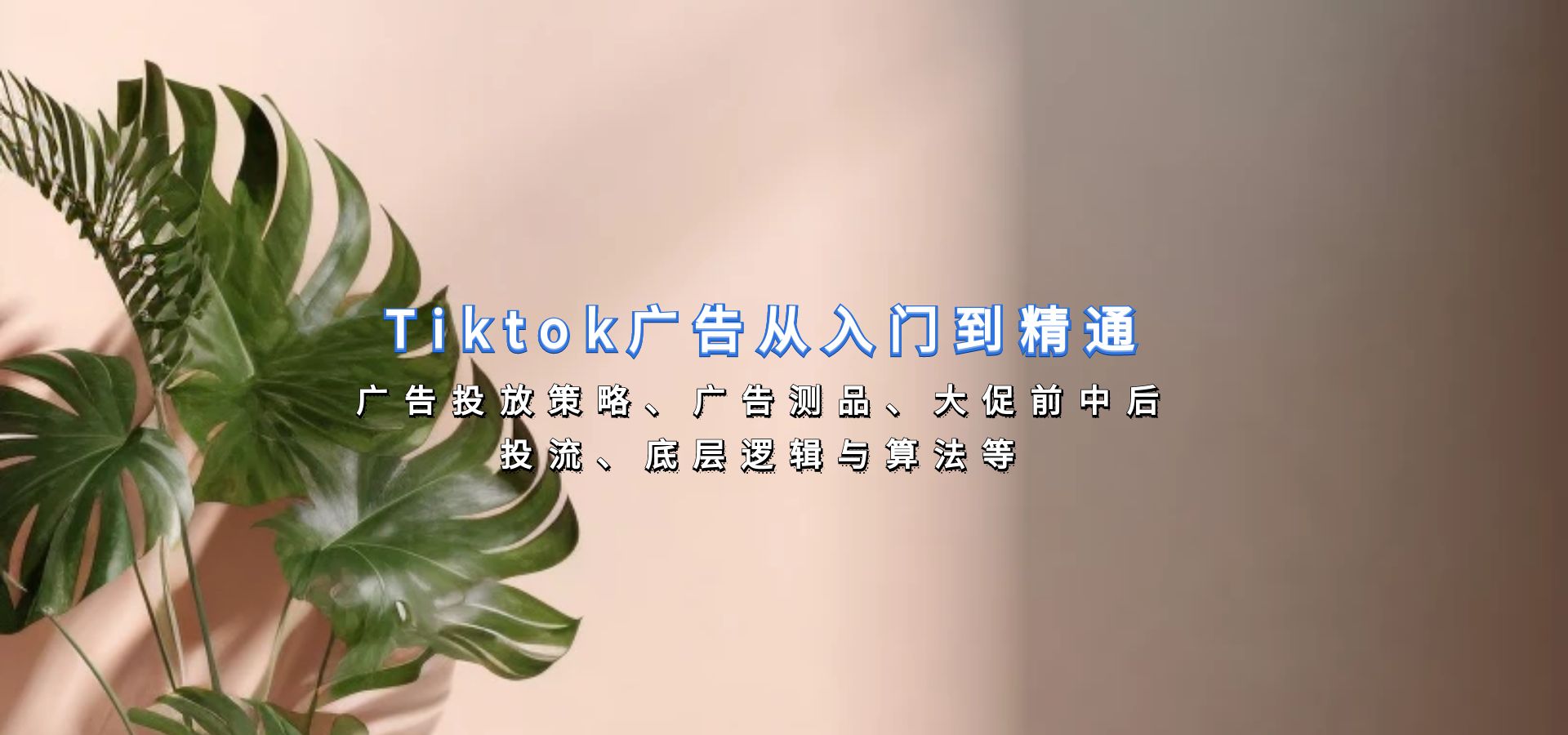 Tiktok广告从入门到精通